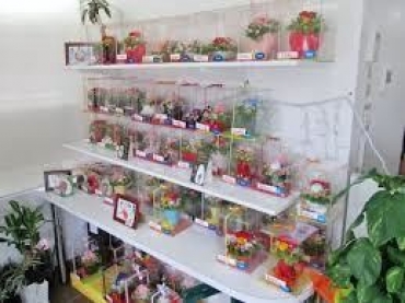 「原生花」　（熊本県山鹿市）の花屋店舗写真3